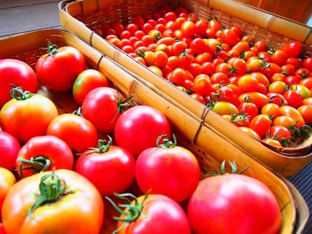 【ダイエットに効果的な野菜】